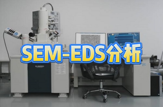 SEM-EDS分析