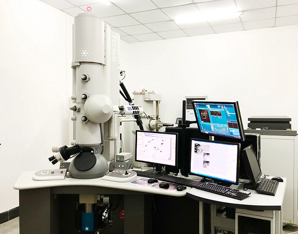 場發(fā)射掃描電鏡 場發(fā)射掃描電鏡