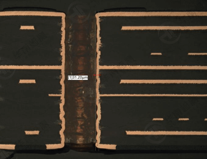 華南檢測實驗室 | 切片分析流程及應用