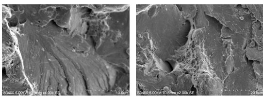 第三方電鏡(SEM/TEM)檢測機構 第三方電鏡(SEM/TEM)檢測機構