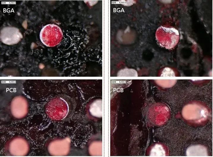 紅墨水實驗 紅墨水實驗