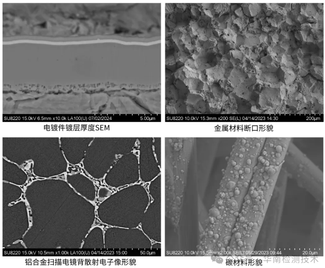 顯微結(jié)構(gòu)分析