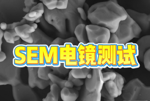 SEM電鏡測(cè)試