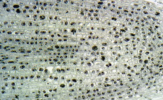 模具鋼材成分分析