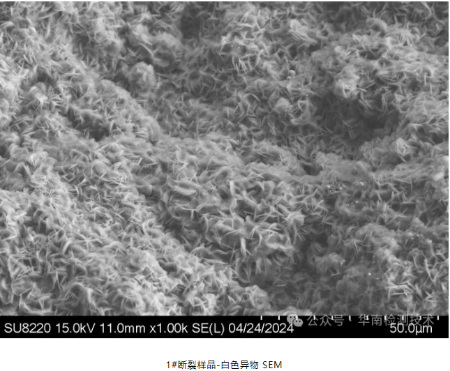蓄電池負(fù)極斷裂失效分析