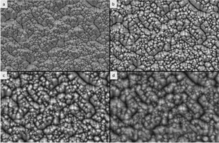 掃描電鏡（SEM）分析