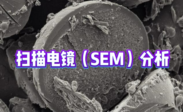 掃描電鏡（SEM）分析