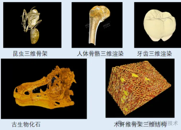 工業 CT 檢測服務