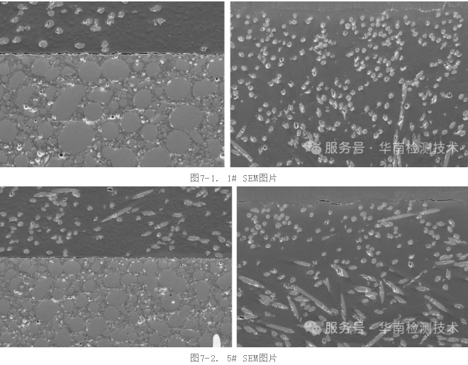 霍爾元件失效分析-SEM檢測
