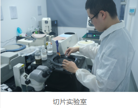 破壞性物理分析 破壞性物理分析