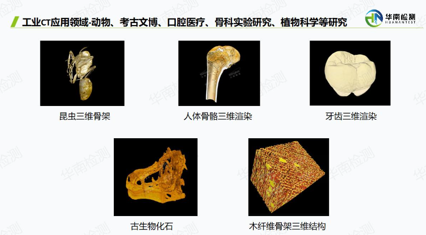 工業CT掃描科研教育領域