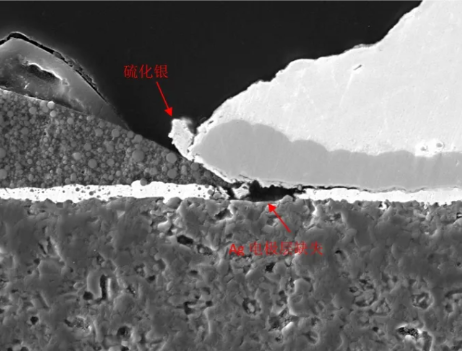 斷面SEM圖像 斷面SEM圖像