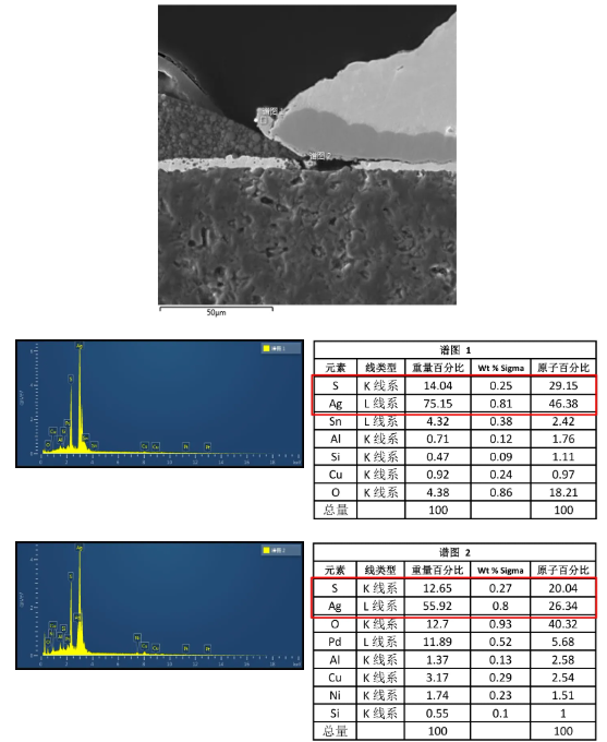 EDS線掃描分析 EDS線掃描分析