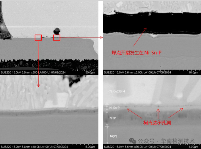 失效分析第三步：SEM/EDS，探尋開裂的根源